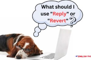 Difference between Reply and Revert